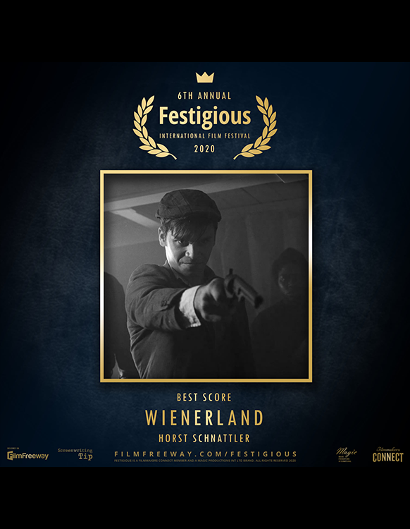 Festigious 2020 Annual